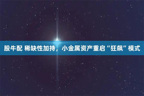股牛配 稀缺性加持，小金属资产重启“狂飙”模式