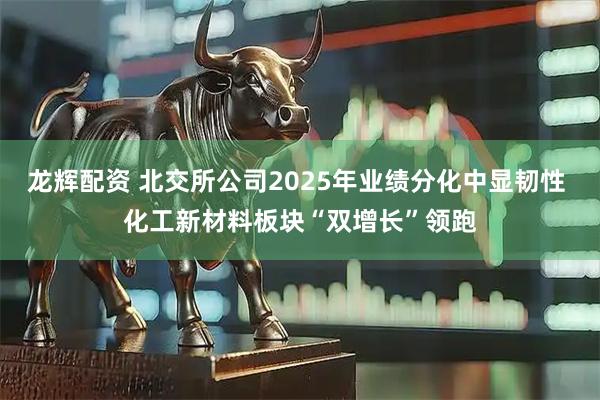 龙辉配资 北交所公司2025年业绩分化中显韧性 化工新材料板块“双增长”领跑