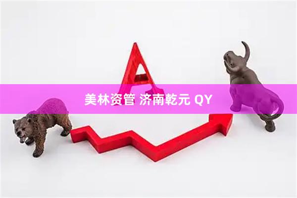 美林资管 济南乾元 QY