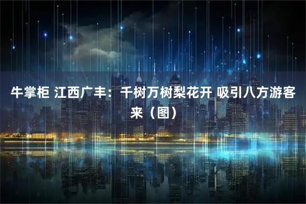 牛掌柜 江西广丰：千树万树梨花开 吸引八方游客来（图）