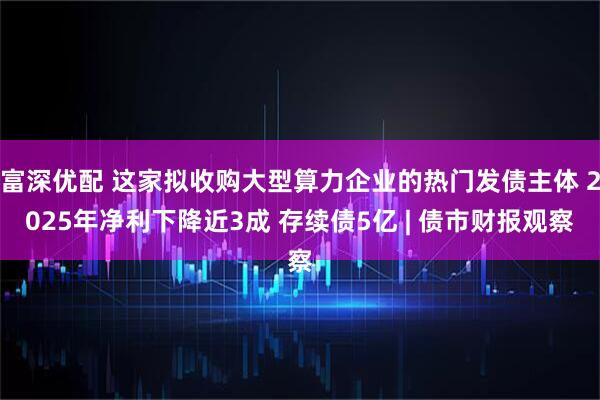 富深优配 这家拟收购大型算力企业的热门发债主体 2025年净利下降近3成 存续债5亿 | 债市财报观察