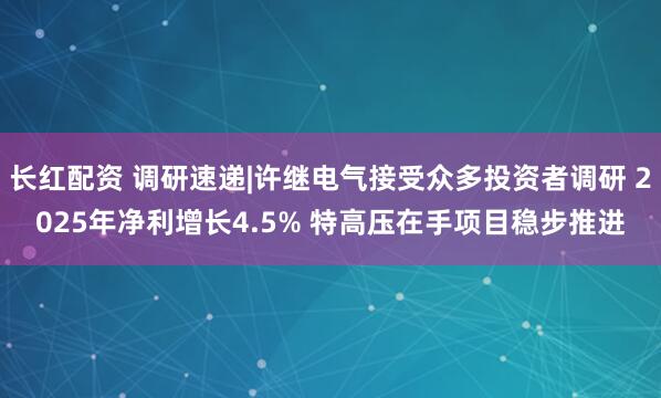 长红配资 调研速递|许继电气接受众多投资者调研 2025年净利增长4.5% 特高压在手项目稳步推进