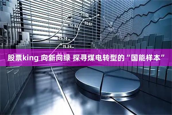 股票king 向新向绿 探寻煤电转型的“国能样本”