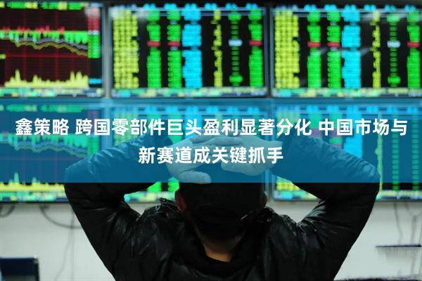 鑫策略 跨国零部件巨头盈利显著分化 中国市场与新赛道成关键抓手