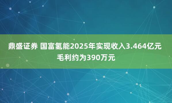 鼎盛证券 国富氢能2025年实现收入3.464亿元 毛利约为390万元