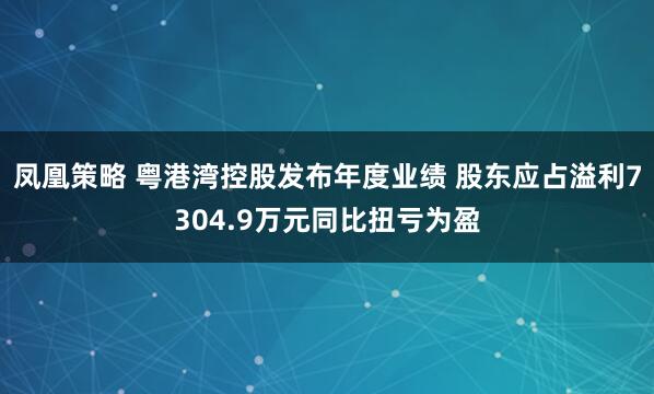 凤凰策略 粤港湾控股发布年度业绩 股东应占溢利7304.9万元同比扭亏为盈