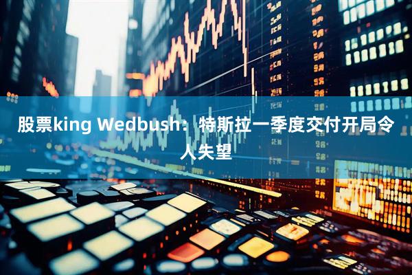 股票king Wedbush：特斯拉一季度交付开局令人失望
