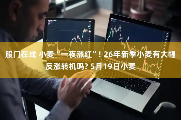 股门在线 小麦“一夜涨红”! 26年新季小麦有大幅反涨转机吗? 5月19日小麦
