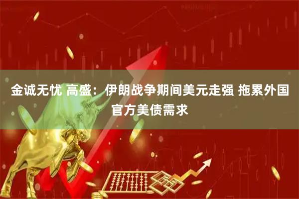 金诚无忧 高盛：伊朗战争期间美元走强 拖累外国官方美债需求