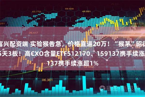 富兴配资端 实验猴告急，价格直逼20万！“猴茅”昭衍新药5天3板！高CXO含量ETF512170、159137携手续涨超1%